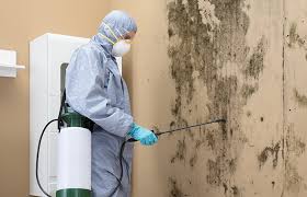 Best Residential Mold Inspection & Testing  in Oakes, ND